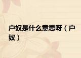 户奴是什么意思呀（户奴）