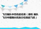 飞行编队中各机的任务（僚机 编队飞行中跟随长机执行任务的飞机）