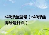 r40焊丝型号（r40焊丝牌号是什么）