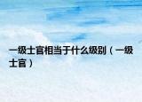 一级士官相当于什么级别（一级士官）