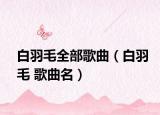 白羽毛全部歌曲（白羽毛 歌曲名）