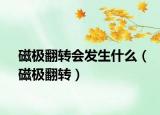磁极翻转会发生什么（磁极翻转）