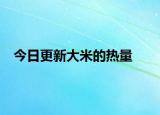 今日更新大米的热量