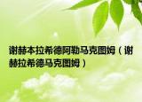谢赫本拉希德阿勒马克图姆（谢赫拉希德马克图姆）