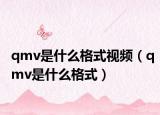 qmv是什么格式视频（qmv是什么格式）