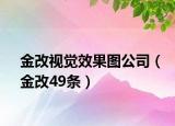金改视觉效果图公司（金改49条）