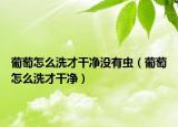 葡萄怎么洗才干净没有虫（葡萄怎么洗才干净）