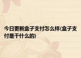 今日更新盒子支付怎么样(盒子支付是干什么的)