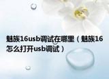 魅族16usb调试在哪里（魅族16怎么打开usb调试）