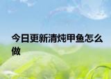 今日更新清炖甲鱼怎么做