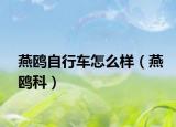 燕鸥自行车怎么样（燕鸥科）