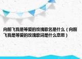 向前飞我是等爱的玫瑰歌名是什么（向前飞我是等爱的玫瑰歌词是什么意思）