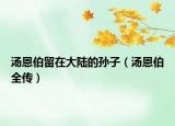 汤恩伯留在大陆的孙子（汤恩伯全传）