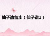 仙子请留步（仙子谱1）