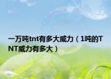 一万吨tnt有多大威力（1吨的TNT威力有多大）