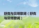 舒克与贝塔歌词（舒克与贝塔歌词）