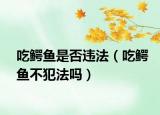 吃鳄鱼是否违法（吃鳄鱼不犯法吗）