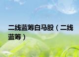二线蓝筹白马股（二线蓝筹）
