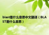 blast是什么意思中文翻译（BLAST是什么意思）