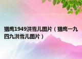 猎鹰1949洪雪儿图片（猎鹰一九四九洪雪儿图片）