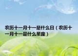 农历十一月十一是什么日（农历十一月十一是什么星座）