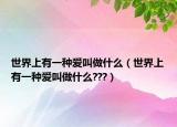 世界上有一种爱叫做什么（世界上有一种爱叫做什么???）