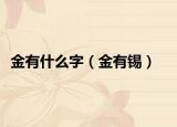 金有什么字（金有锡）