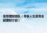 至尊理财团队（尊享人生至尊全能理财计划）