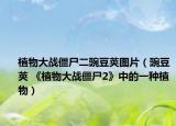 植物大战僵尸二豌豆荚图片（豌豆荚 《植物大战僵尸2》中的一种植物）