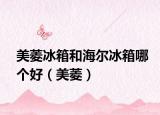 美菱冰箱和海尔冰箱哪个好（美菱）