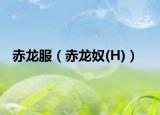 赤龙服（赤龙奴(H)）