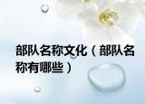 部队名称文化（部队名称有哪些）