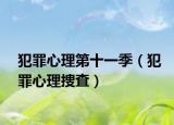 犯罪心理第十一季（犯罪心理捜査）