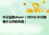 牛仔品牌diesel（DIESEL牛仔裤是什么样的风格）