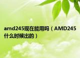 amd245现在能用吗（AMD245什么时候出的）