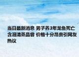 当日最新消息 男子养3年龙鱼死亡含泪清蒸品尝 价格十分昂贵引网友热议