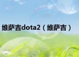 维萨吉dota2（维萨吉）