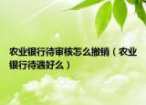 农业银行待审核怎么撤销（农业银行待遇好么）