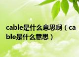 cable是什么意思啊（cable是什么意思）