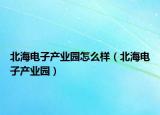 北海电子产业园怎么样（北海电子产业园）