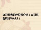 火影忍者羁绊位置介绍（火影忍者羁绊WAR3）