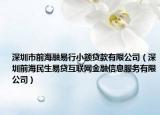 深圳市前海融易行小额贷款有限公司（深圳前海民生易贷互联网金融信息服务有限公司）