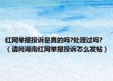红网举报投诉是真的吗?处理过吗?（请问湖南红网举报投诉怎么发帖）