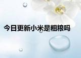 今日更新小米是粗粮吗