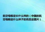 航空母舰是长什么样的（中国的航空母舰是什么样子的而且是图片）