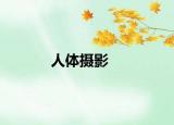 人体摄影