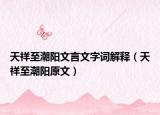 天祥至潮阳文言文字词解释（天祥至潮阳原文）