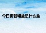 今日更新粗盐是什么盐