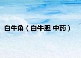 白牛角（白牛胆 中药）