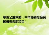 慈善公益救助（中华慈善总会贫困母亲救助项目）